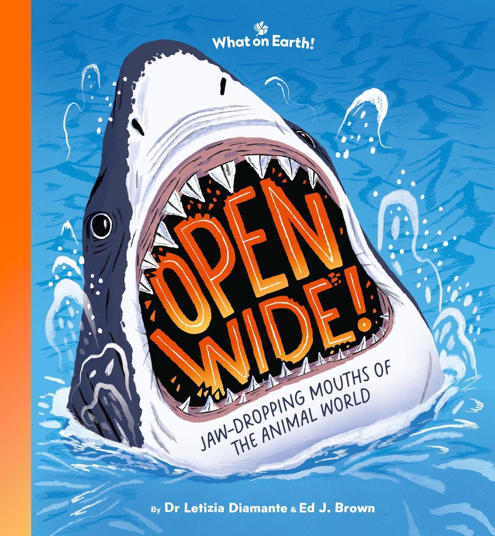 Open Wide! by Ed J. Brown - ISBN: 9781804661352
