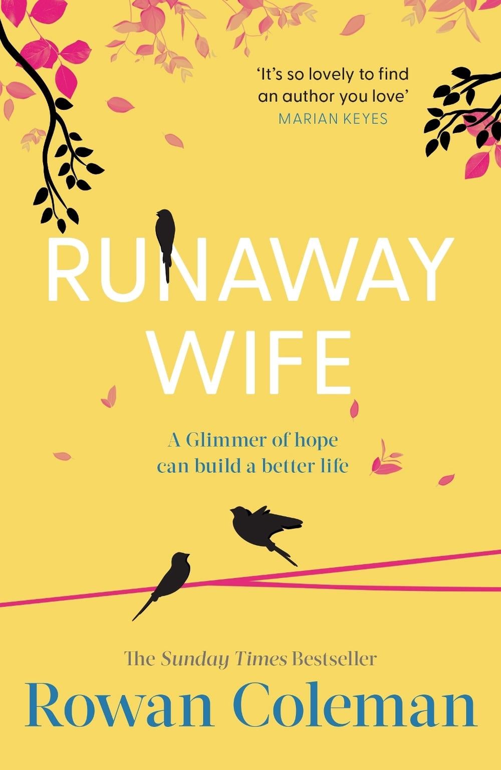 Runaway Wife by Rowan Coleman - ISBN: 9781804950401