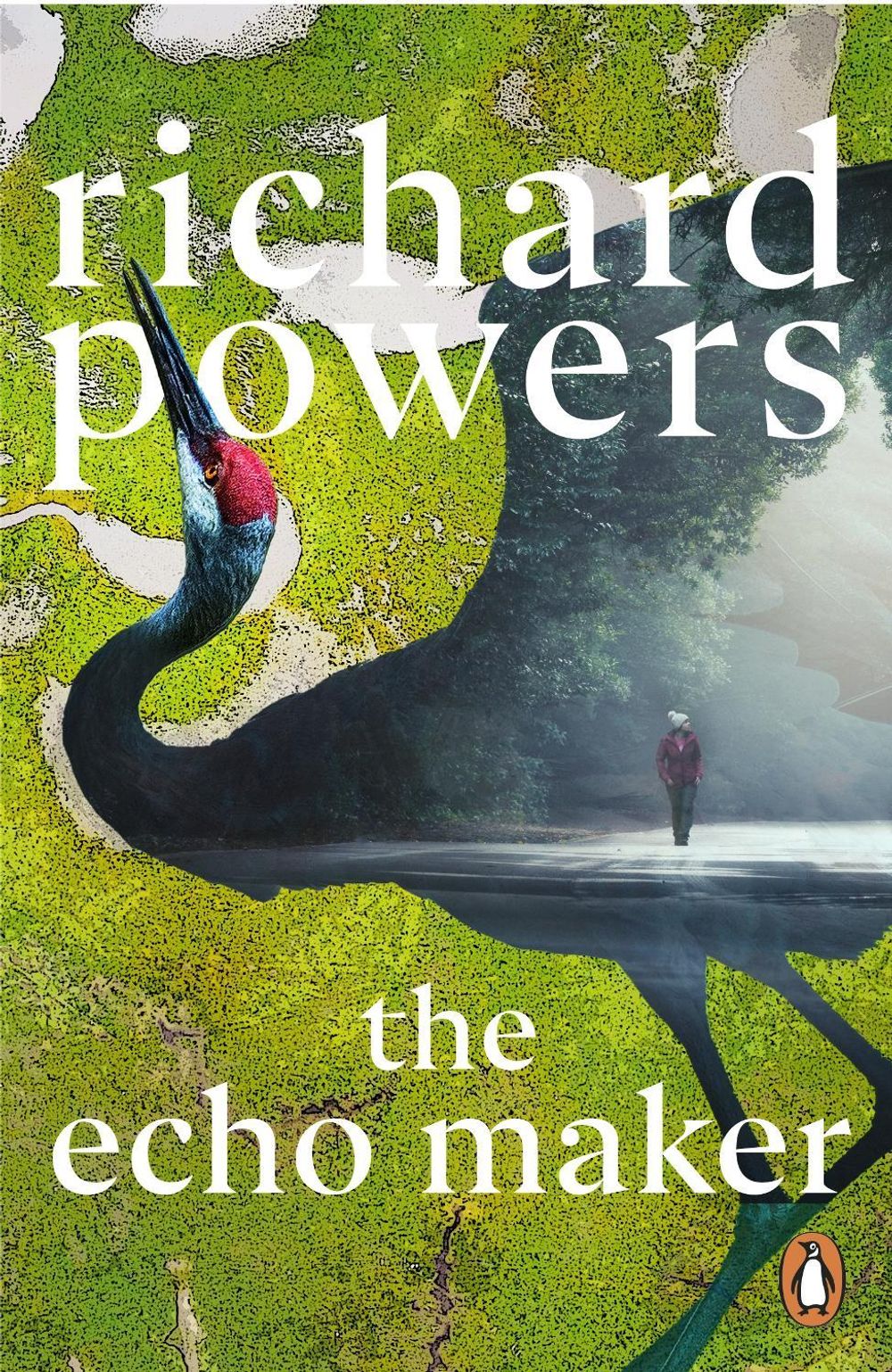 The Echo Maker by Richard Powers - ISBN: 9781804951682