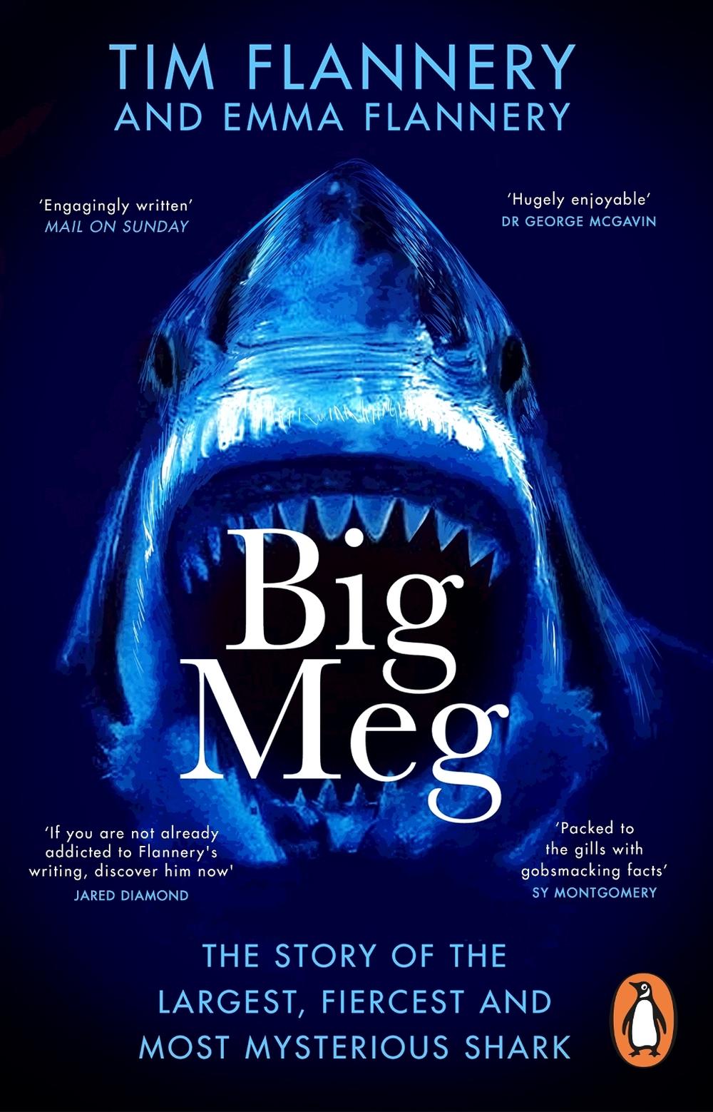 Big Meg, 9781804992265