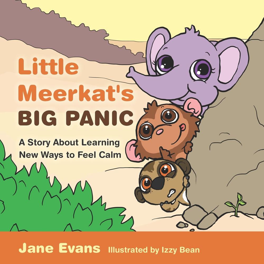 Little Meerkat's Big Panic, 9781805019107