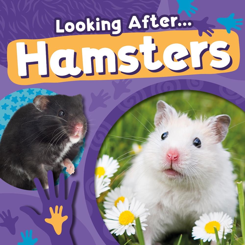 Hamsters, 9781805057529