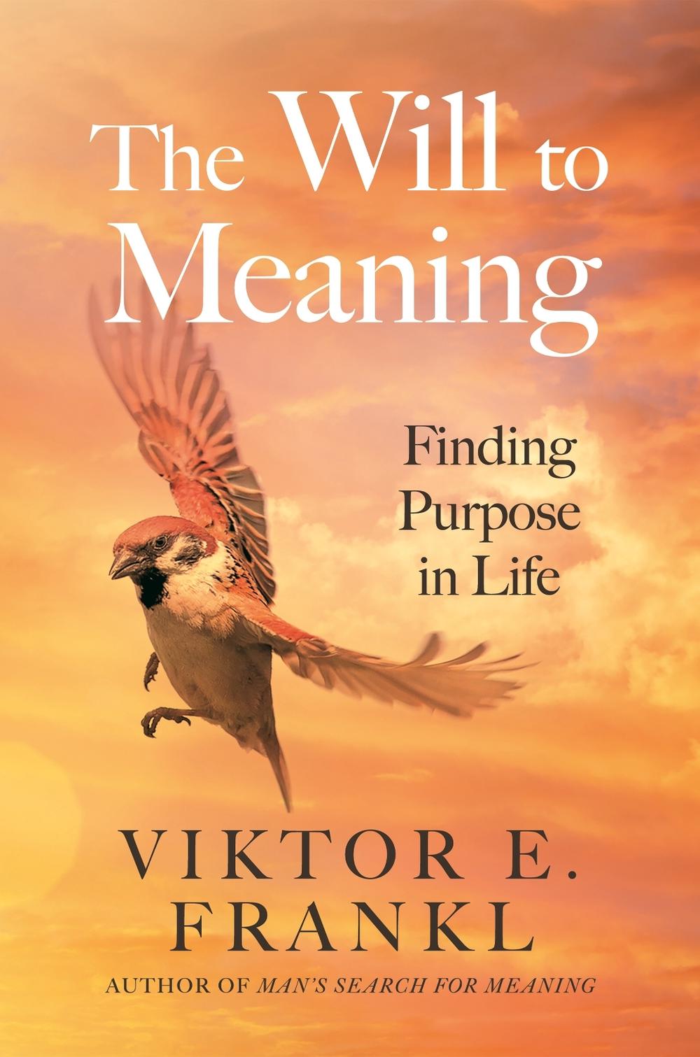 The Will to Meaning, 9781805463801