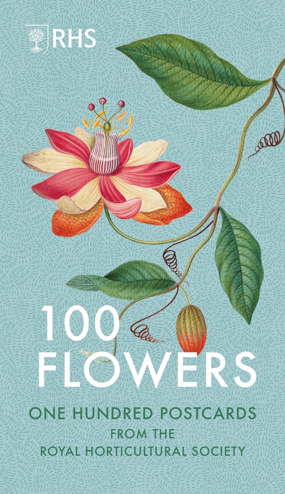 100 Flowers, 9781805701156
