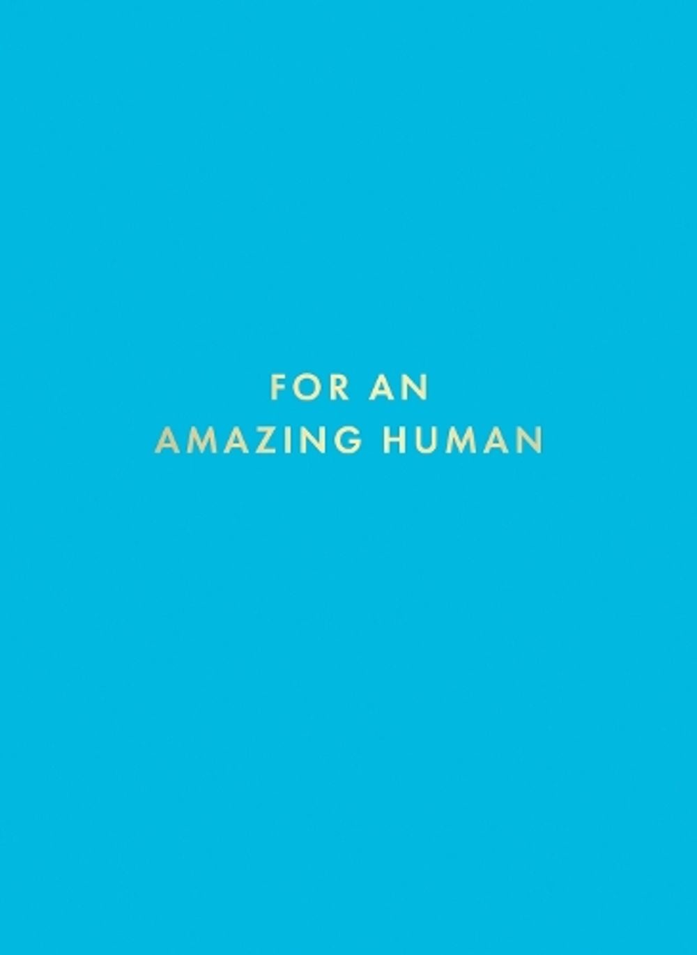 For an Amazing Human by Summersdale Publishers - ISBN: 9781806591411