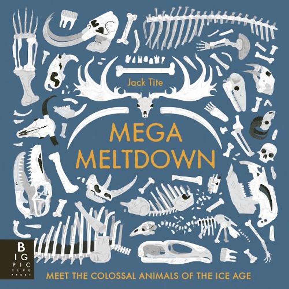 Mega Meltdown by Jack Tite - ISBN: 9781807483814