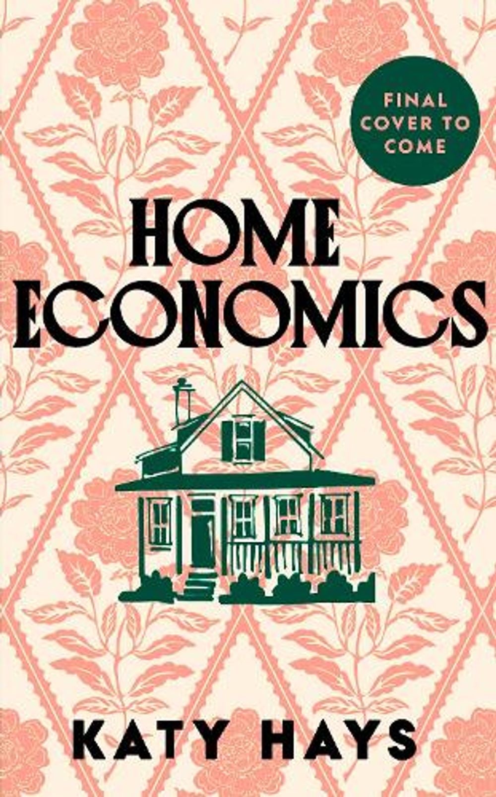 Home Economics by Katy Hays - ISBN: 9781807850203