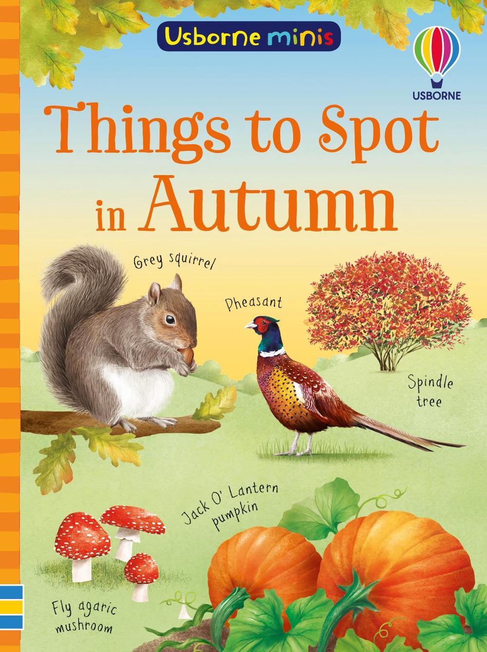 Things to Spot in Autumn, 9781835403556