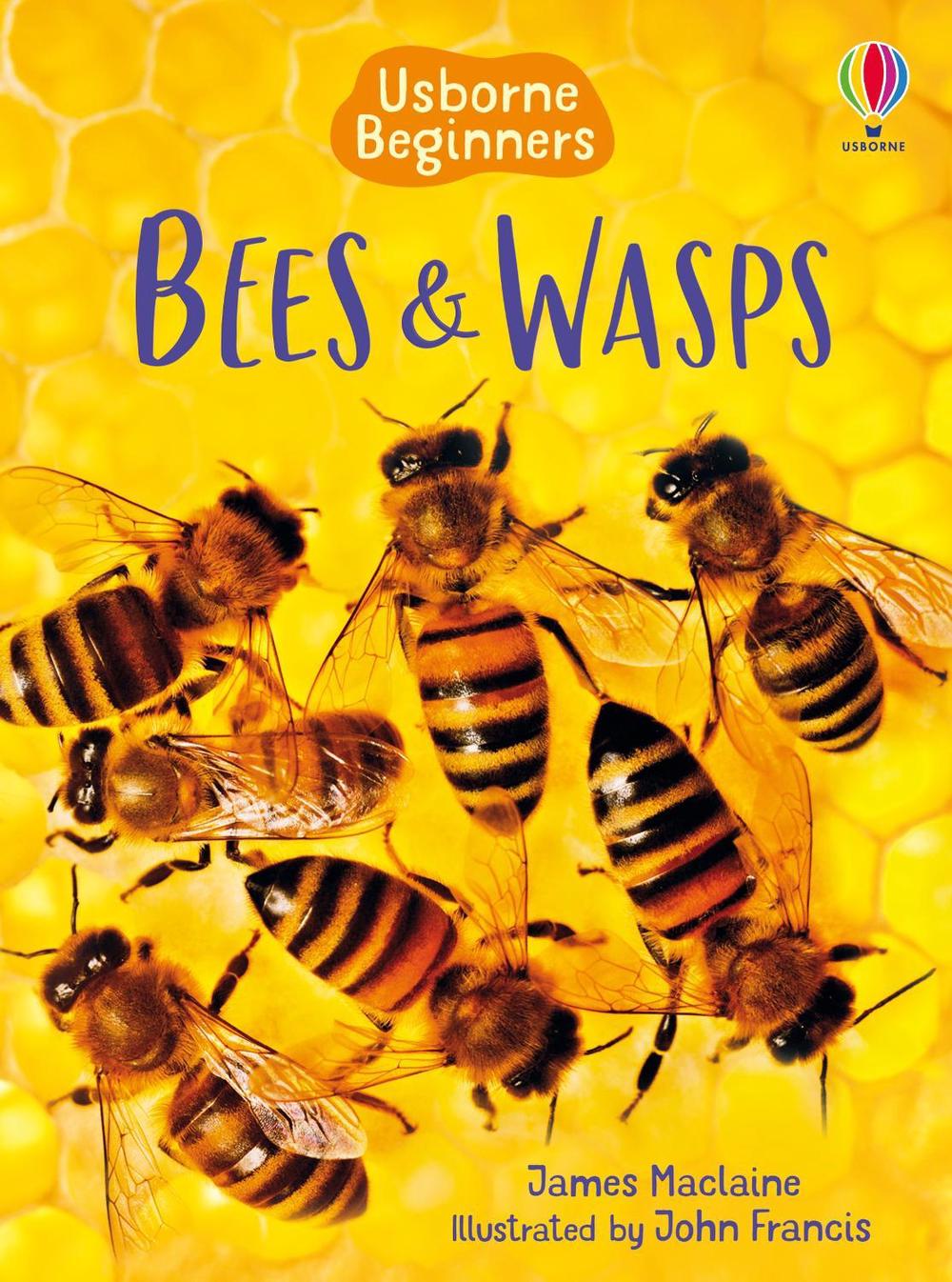 Bees and Wasps, 9781835409770