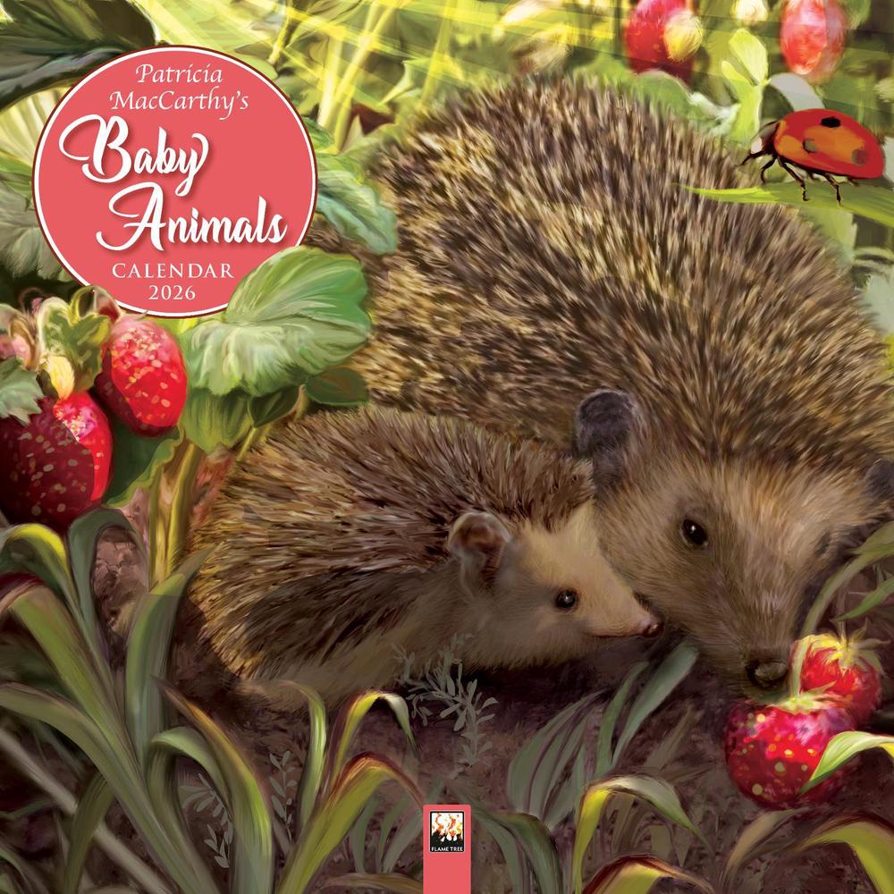 Patricia MacCarthy's Baby Animals Wall Calendar 2026 (Art Calendar), 9781835623558