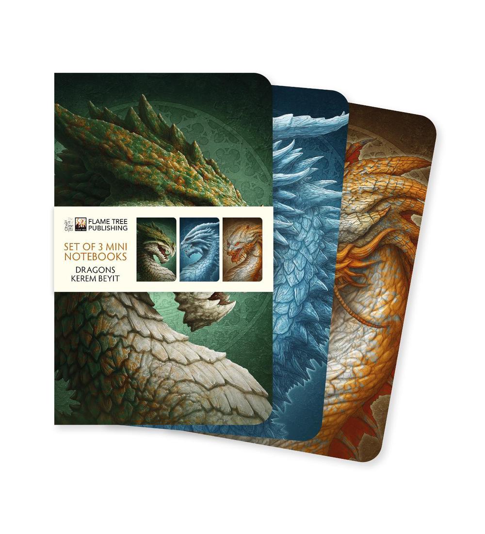 Dragons by Kerem Beyit Set of 3 Mini Notebooks by Flame Tree Studio - ISBN: 9781835629154