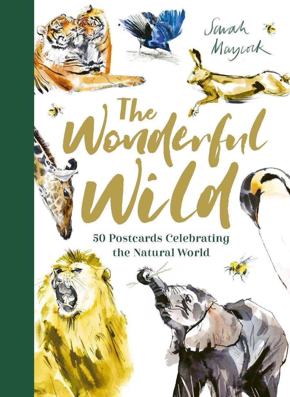 The Wonderful Wild, 9781835871478