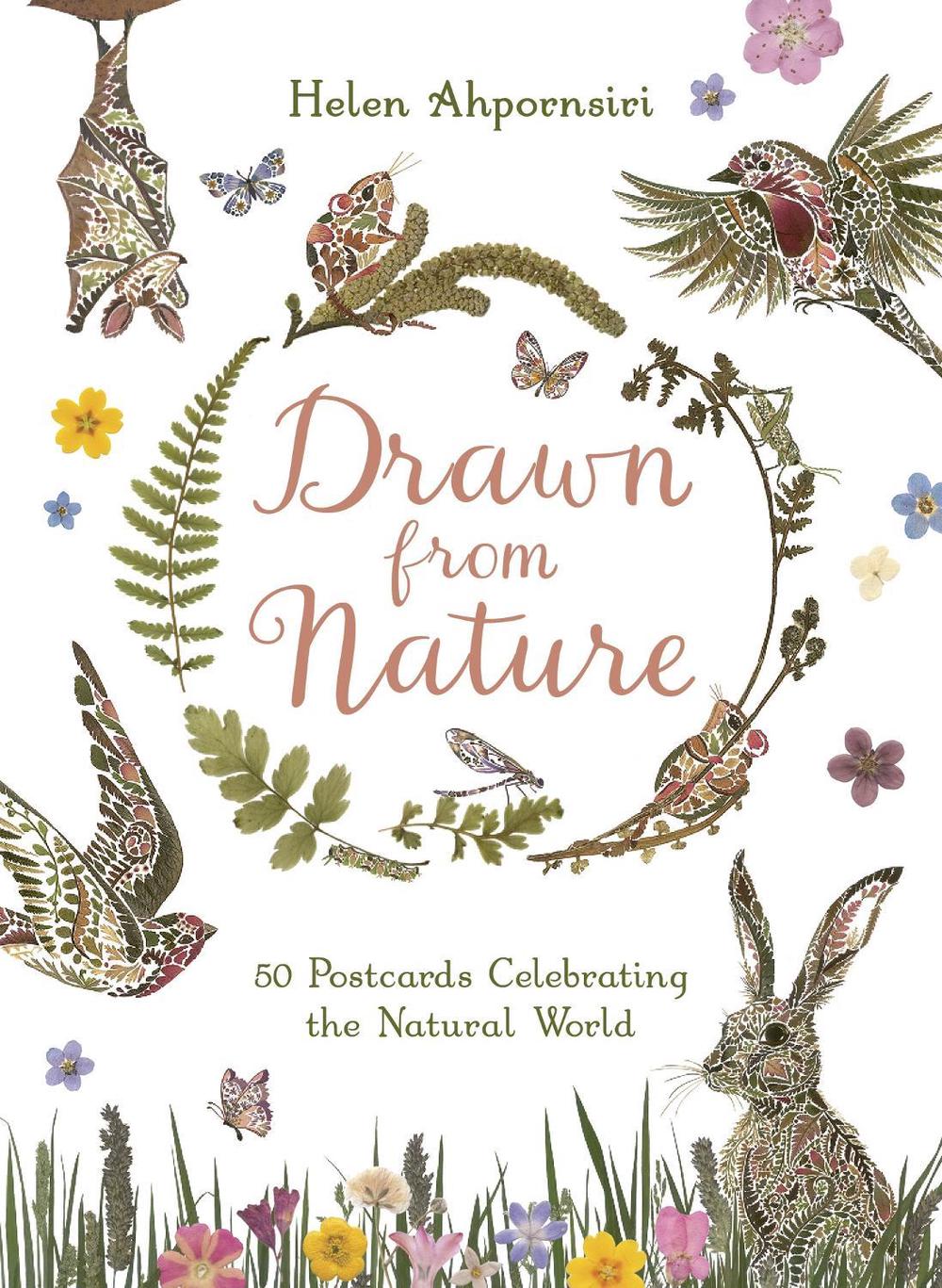 Drawn From Nature, 9781835872031