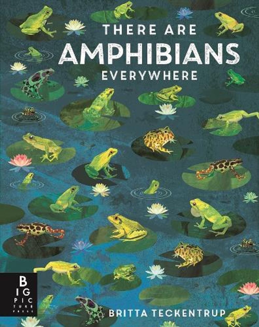 There Are Amphibians Everywhere by Camilla De La Bedoyere - ISBN: 9781835878583