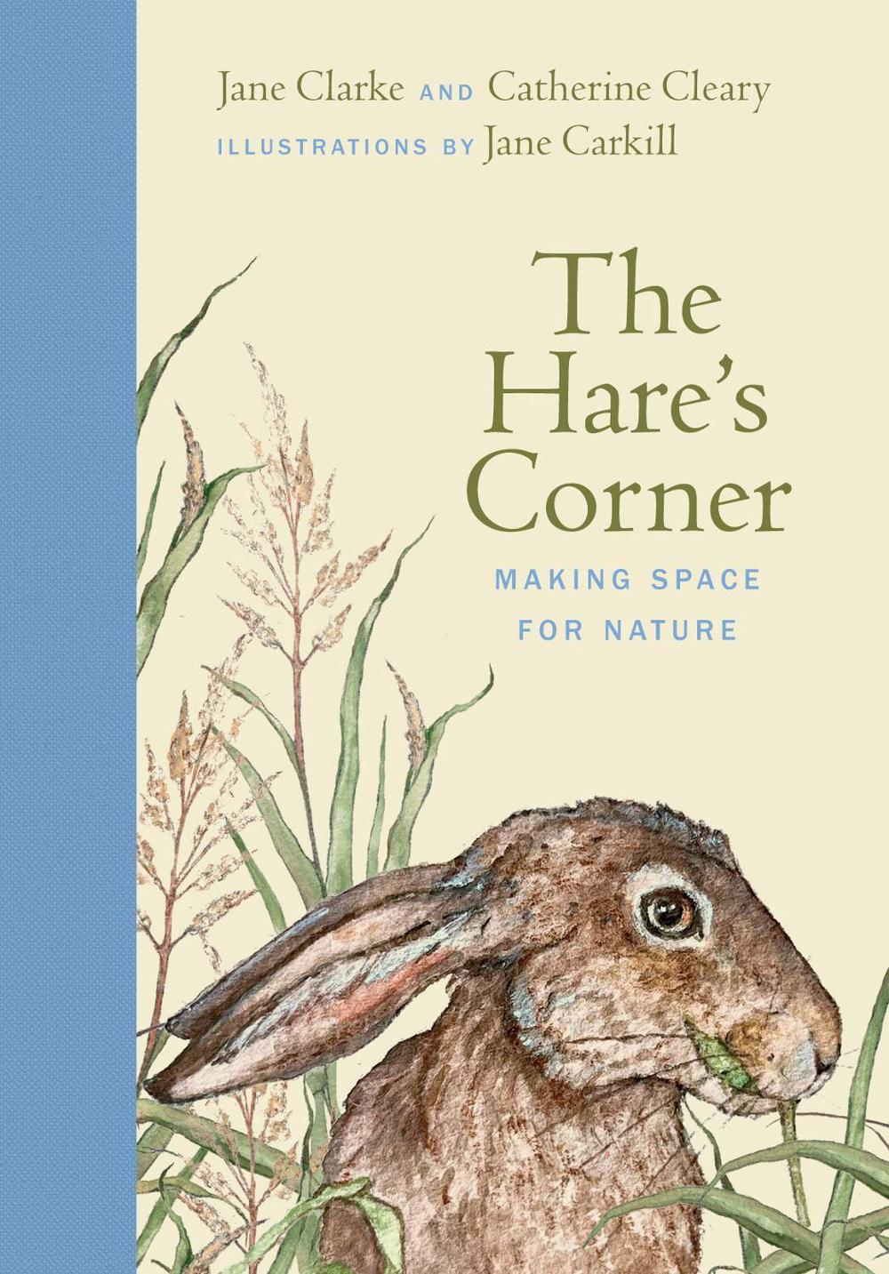 The Hare's Corner by Jane Clarke - ISBN: 9781835940266