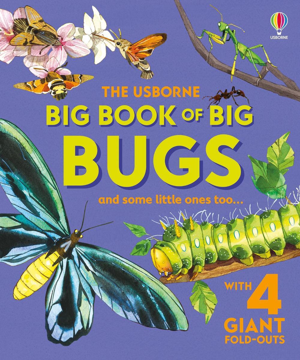 Big Book of Big Bugs, 9781836040255