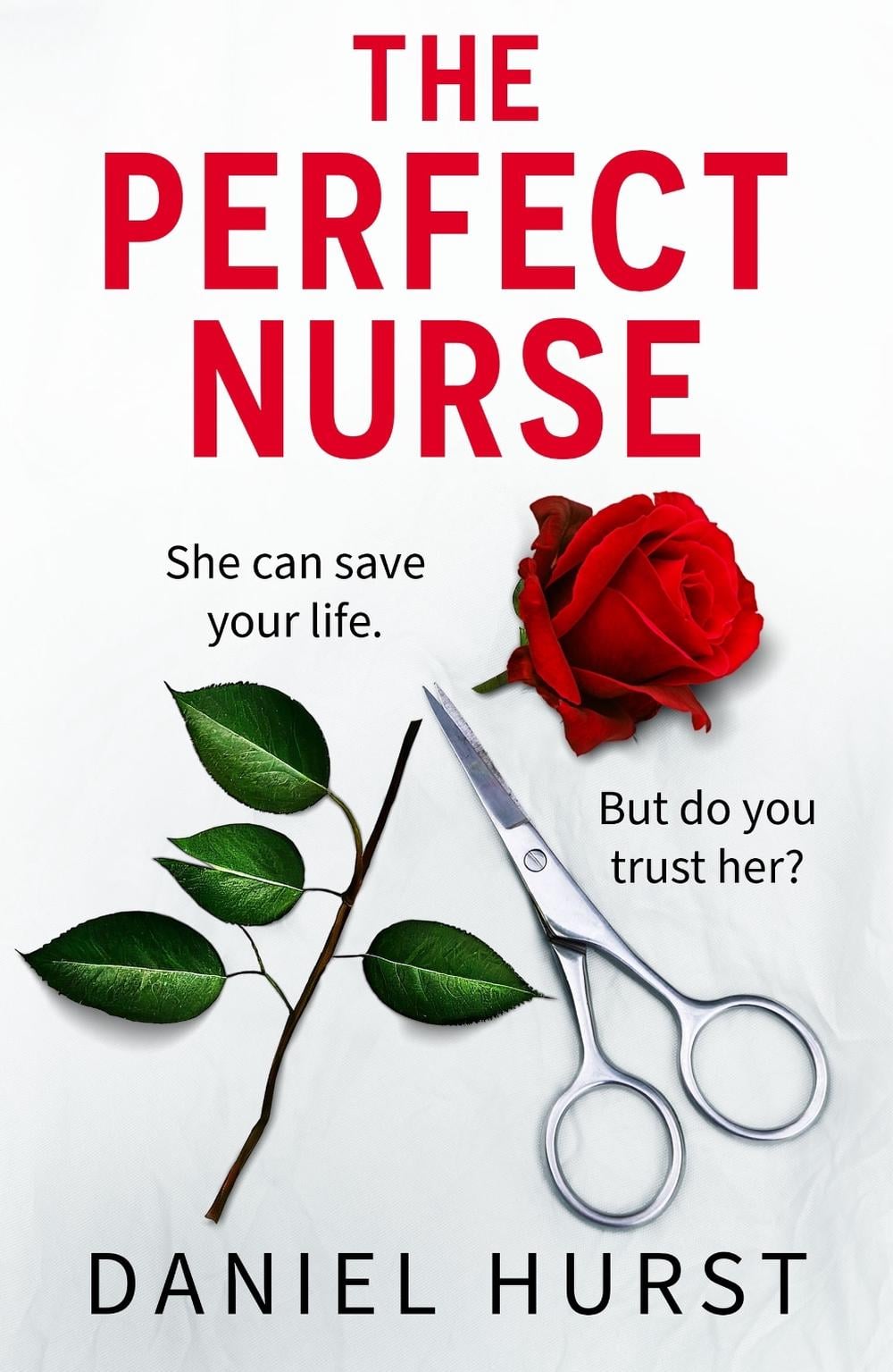 The Perfect Nurse by Daniel Hurst - ISBN: 9781836183068