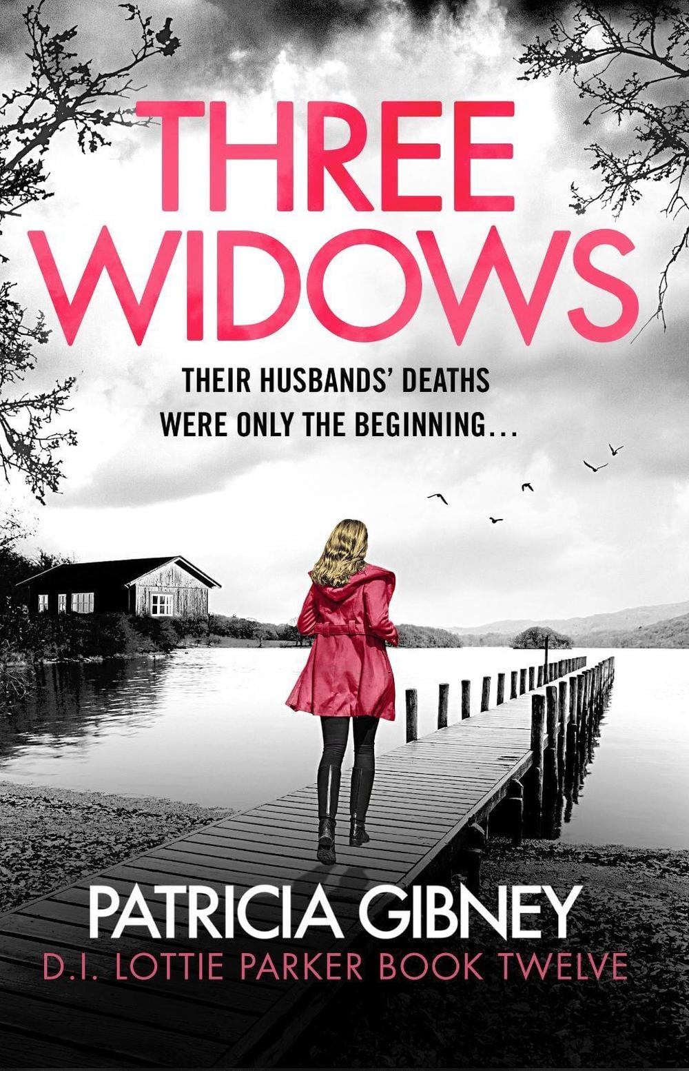 Three Widows by Patricia Gibney - ISBN: 9781836186502