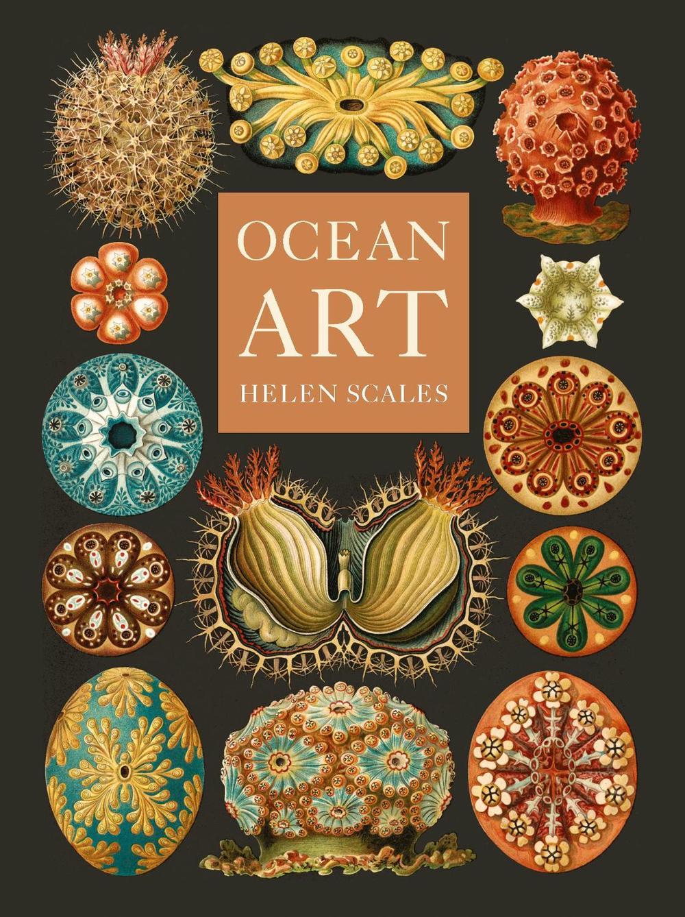 Ocean Art, 9781836390985