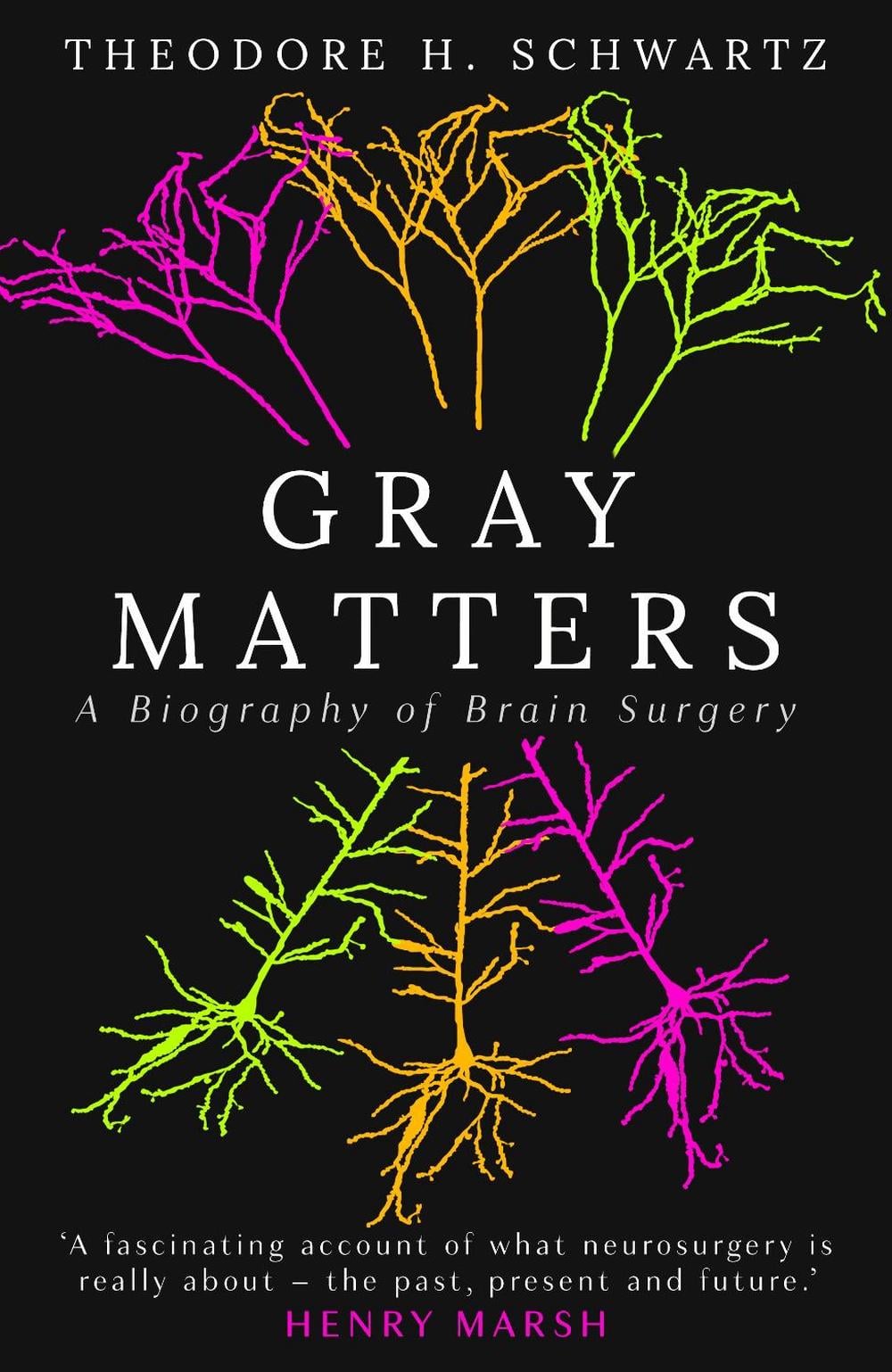 Gray Matters by Theodore Schwartz - ISBN: 9781836430391