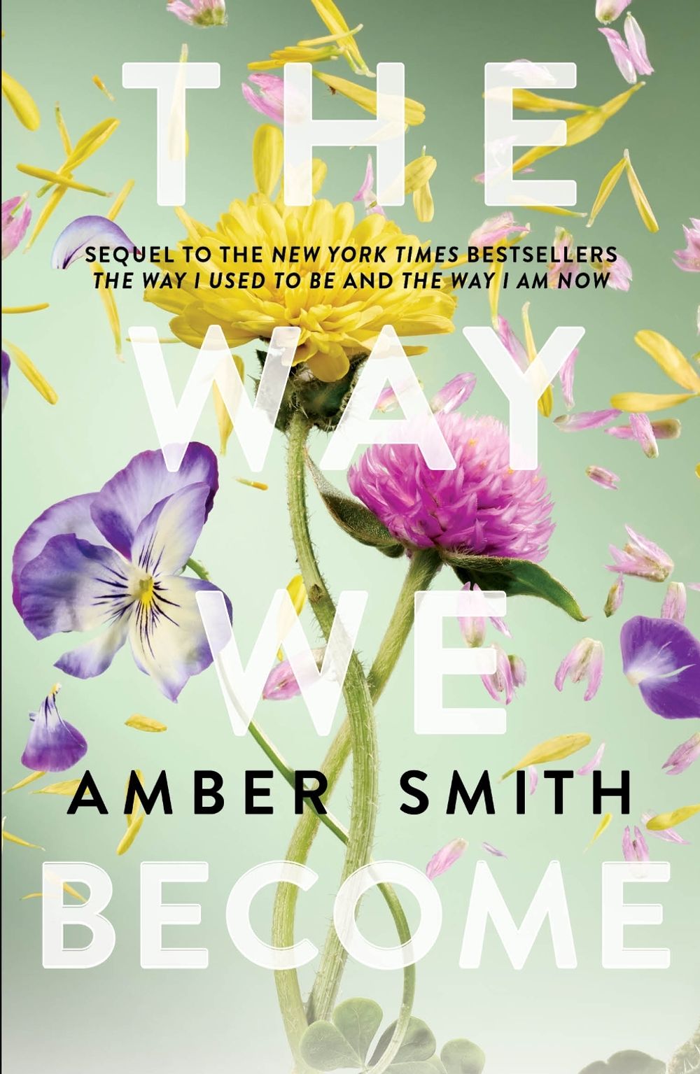 The Way We Become by Amber Smith - ISBN: 9781836432050