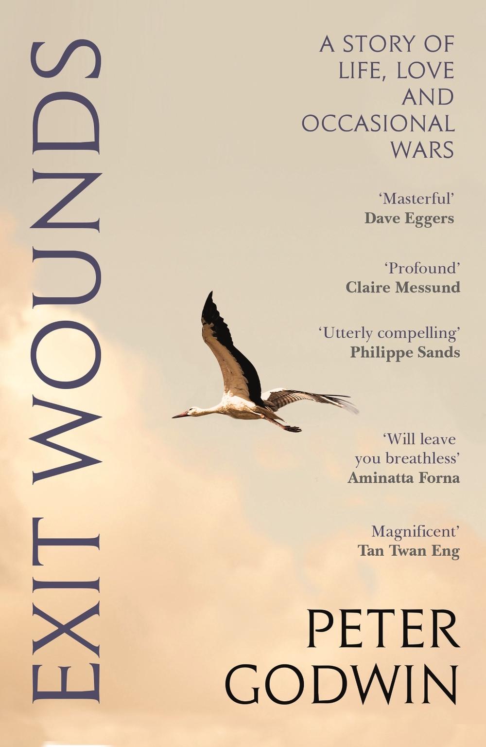 Exit Wounds by Peter Godwin - ISBN: 9781837260829