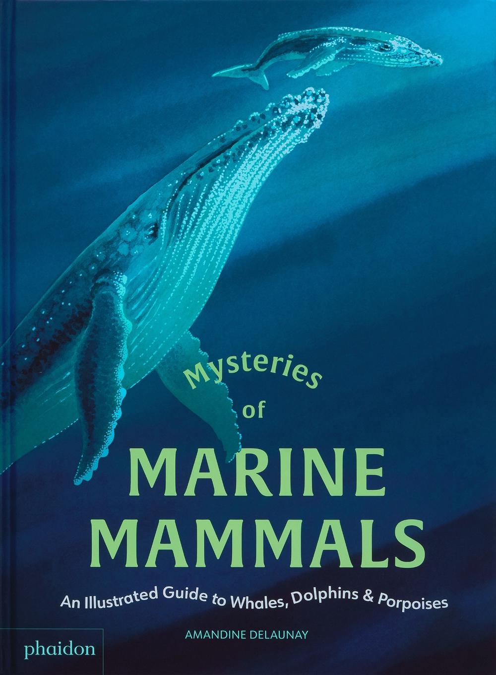 Mysteries of Marine Mammals, 9781837290208