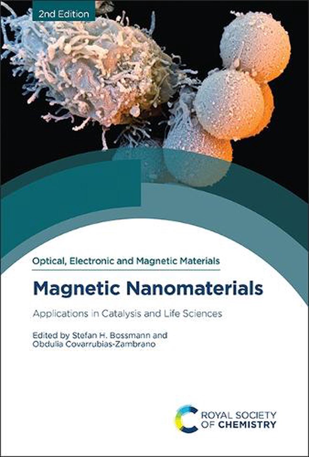Magnetic Nanomaterials, 9781837673971