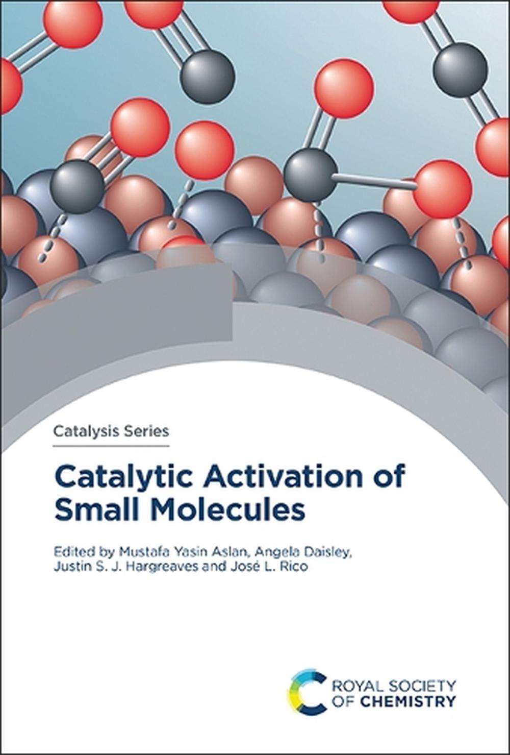 Catalytic Activation of Small Molecules, 9781837674183