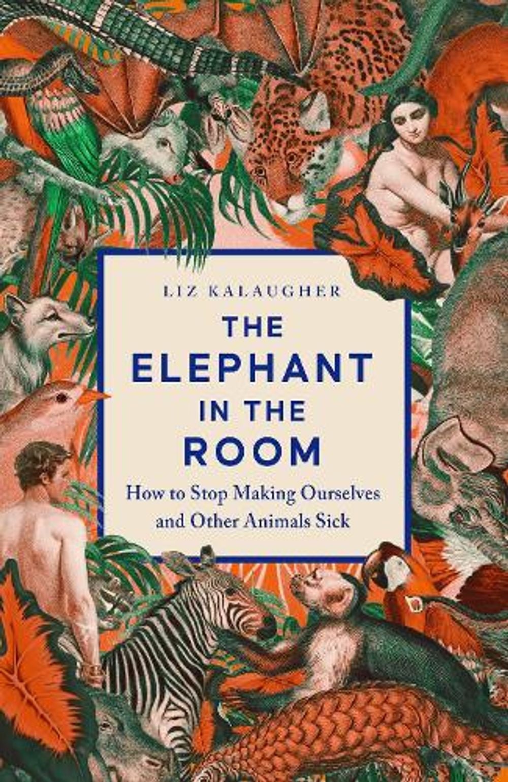 The Elephant in the Room by Liz Kalaugher - ISBN: 9781837731398