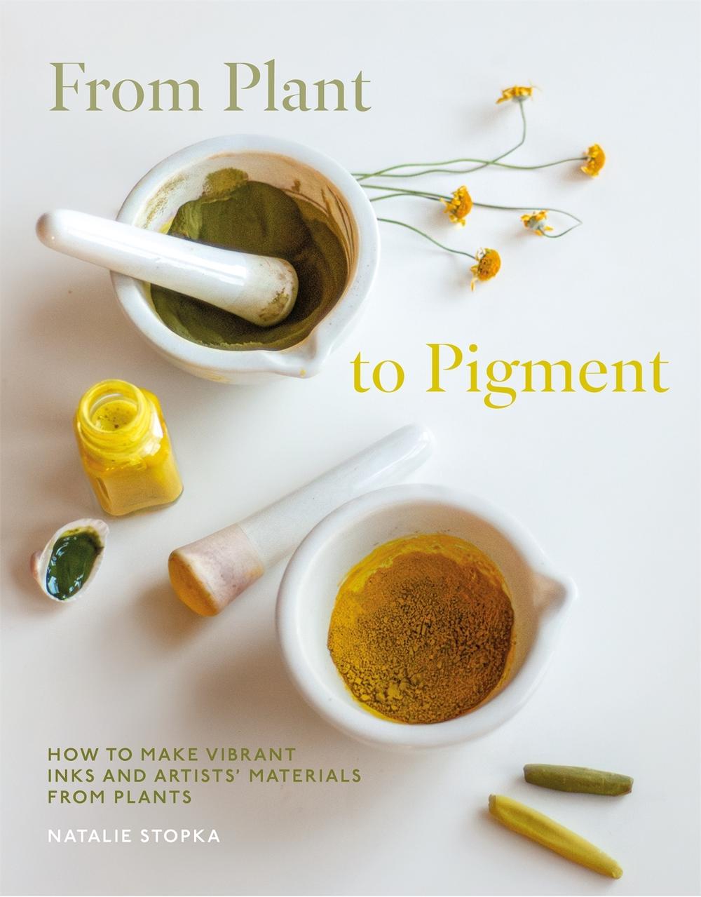 From Plant to Pigment, 9781837760671