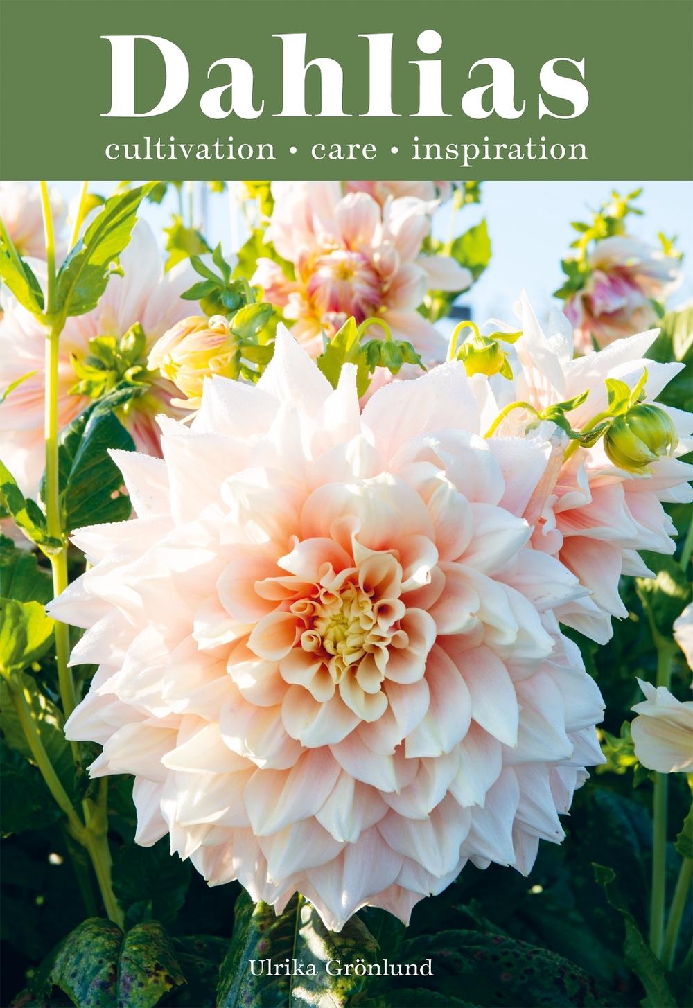 Dahlias by Ulrika Grönlund - ISBN: 9781837830954