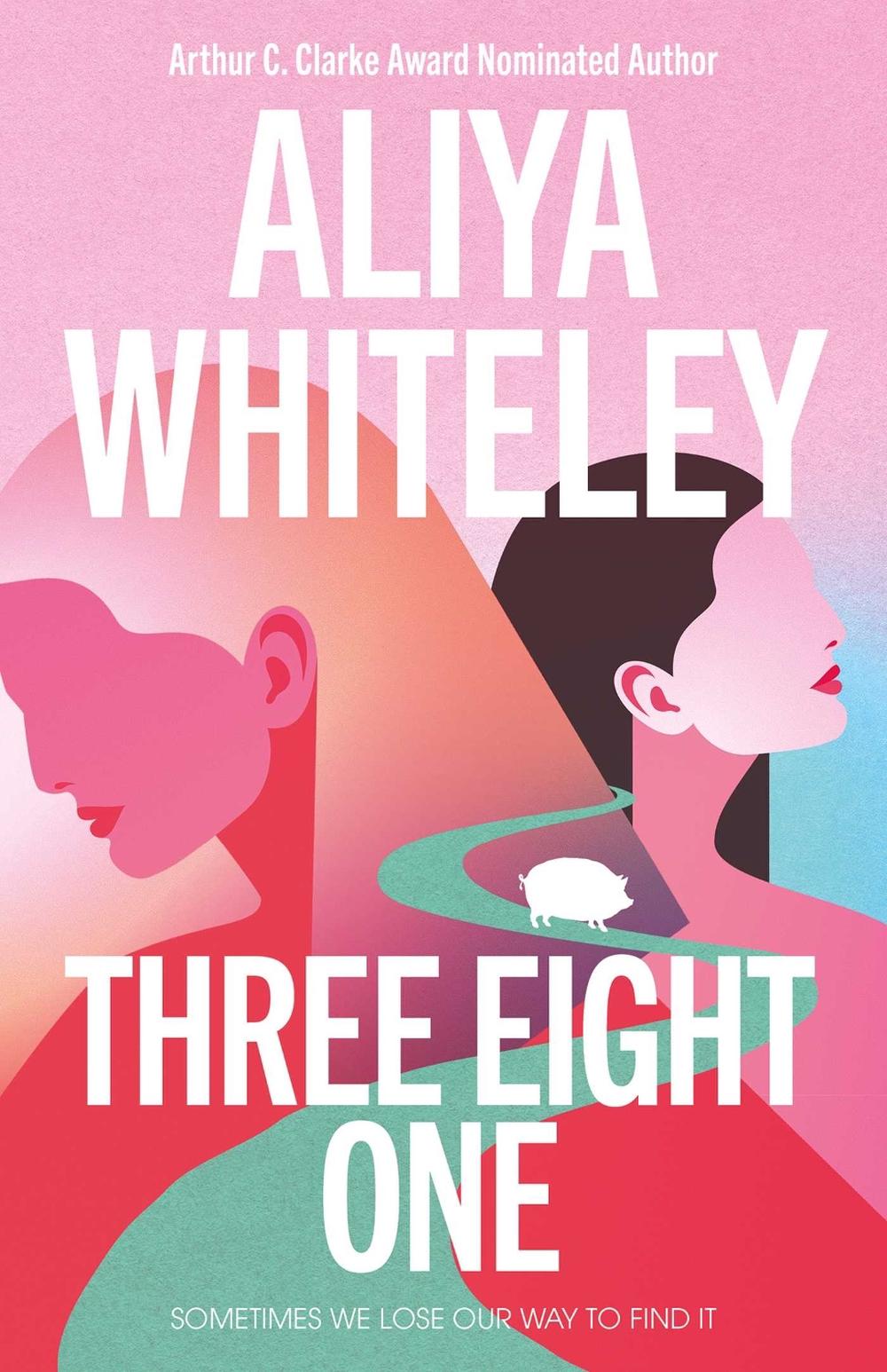 Three Eight One by Aliya Whiteley - ISBN: 9781837862375