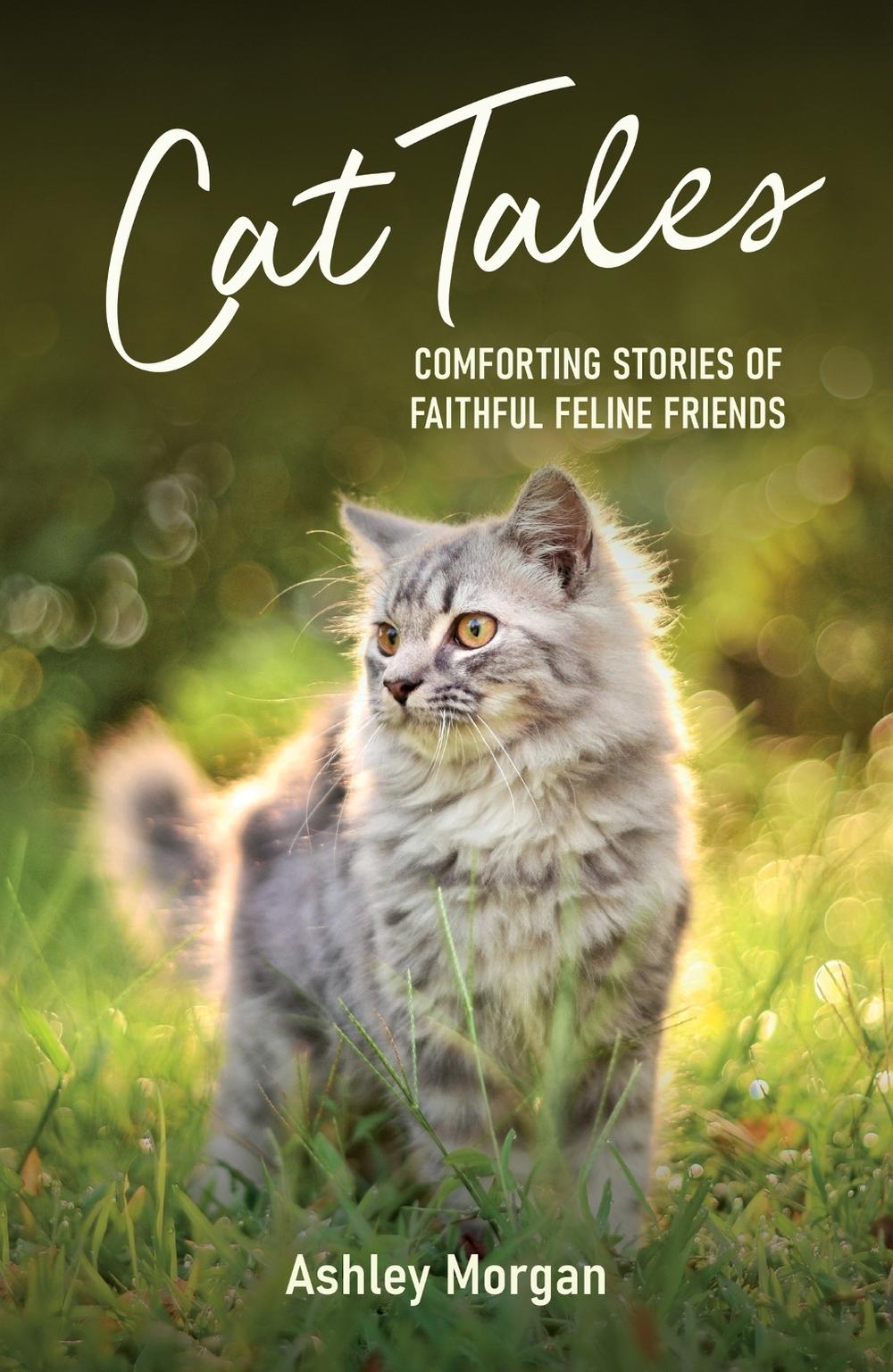 Cat Tales by Ashley Morgan - ISBN: 9781837992829