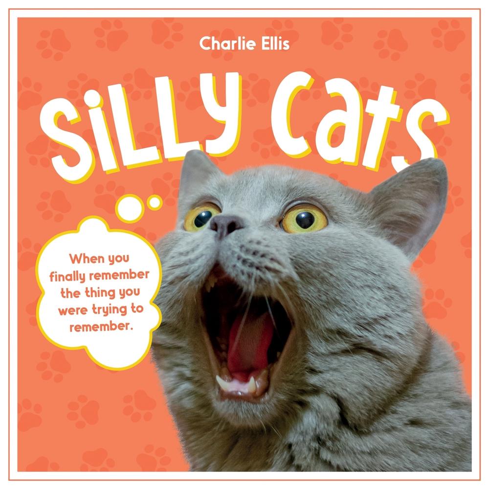 Silly Cats, 9781837994069