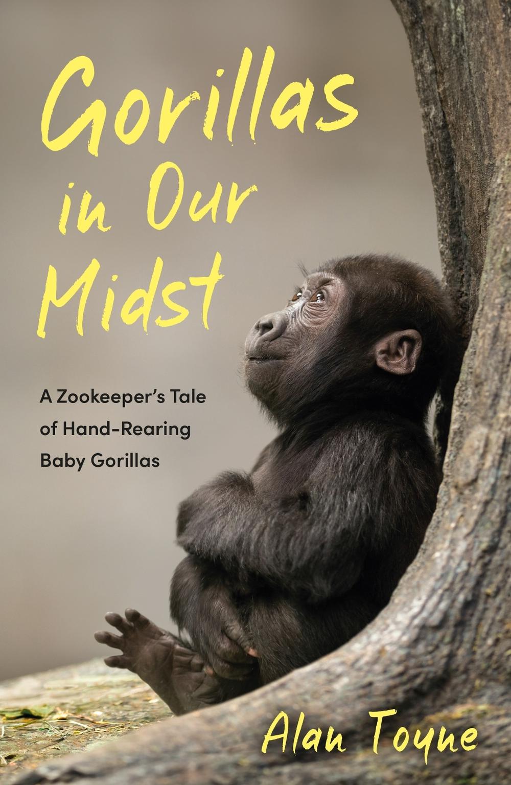 Gorillas in Our Midst by Alan Toyne - ISBN: 9781837995257