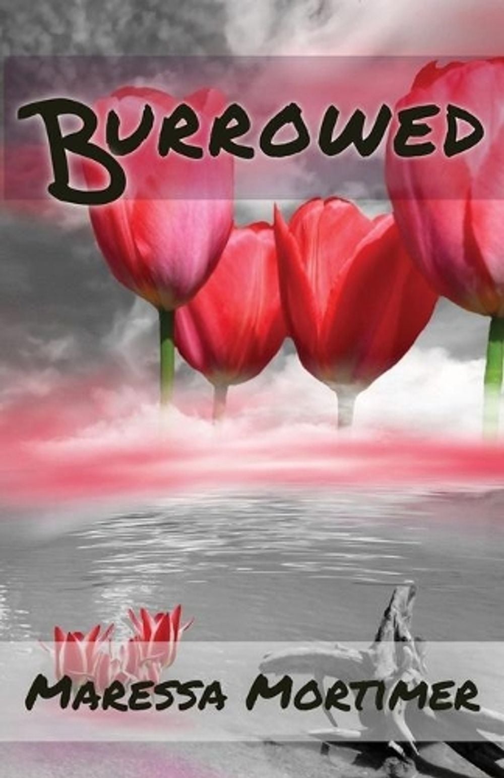 Burrowed by Maressa Mortimer - ISBN: 9781838313470