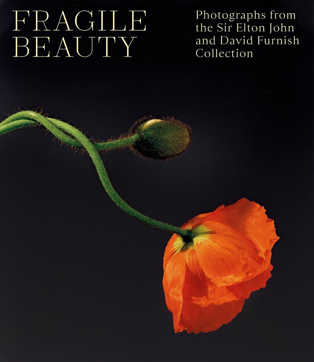 Fragile Beauty, 9781838510466