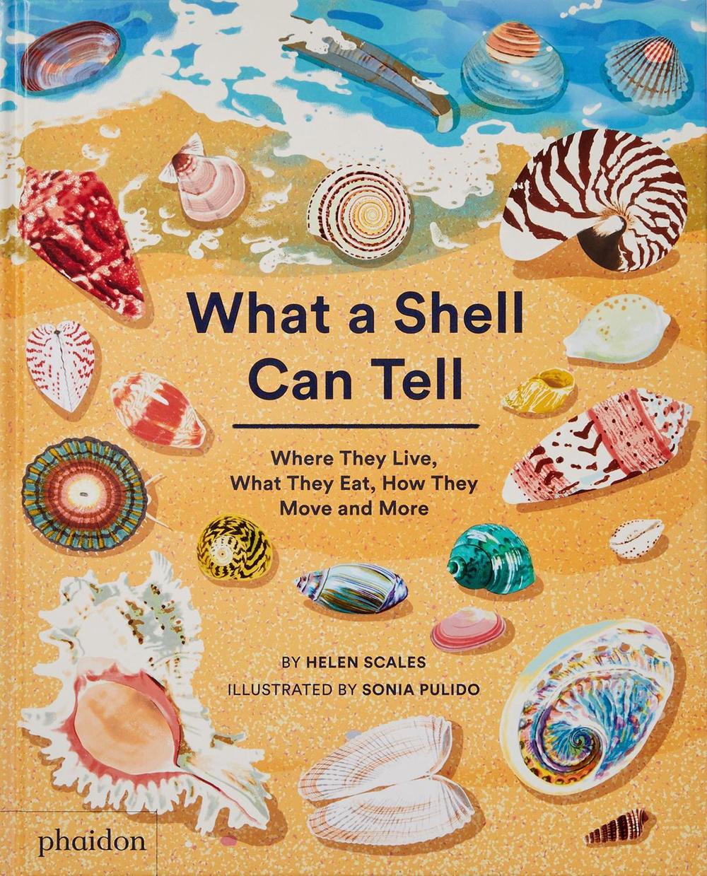 What A Shell Can Tell by Helen Scales - ISBN: 9781838664305