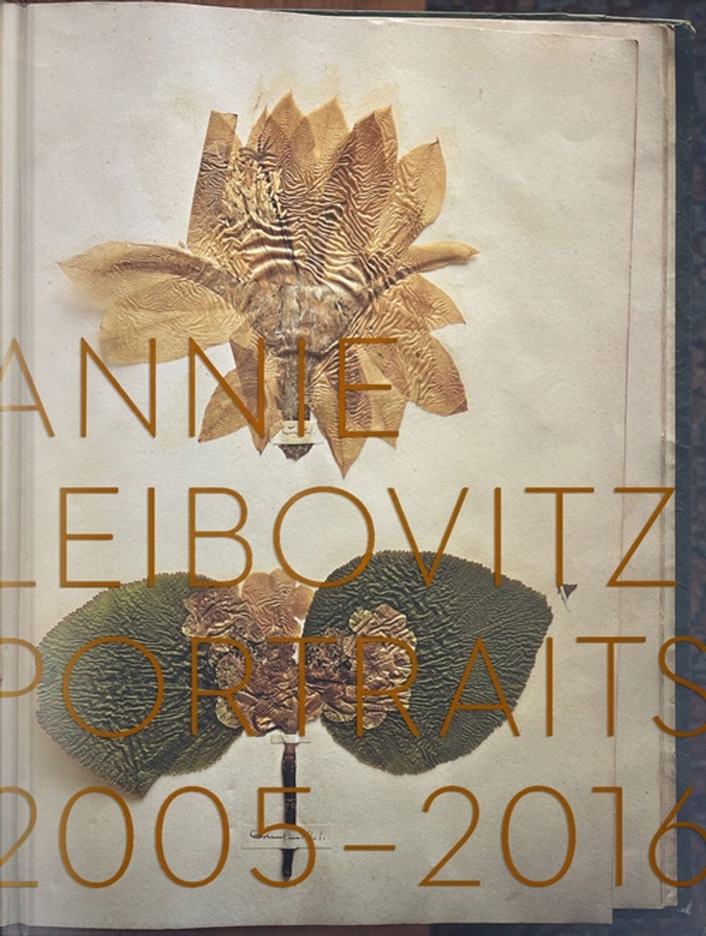 Annie Leibovitz: Portraits 2005-2016 by Annie Leibovitz - ISBN: 9781838665920