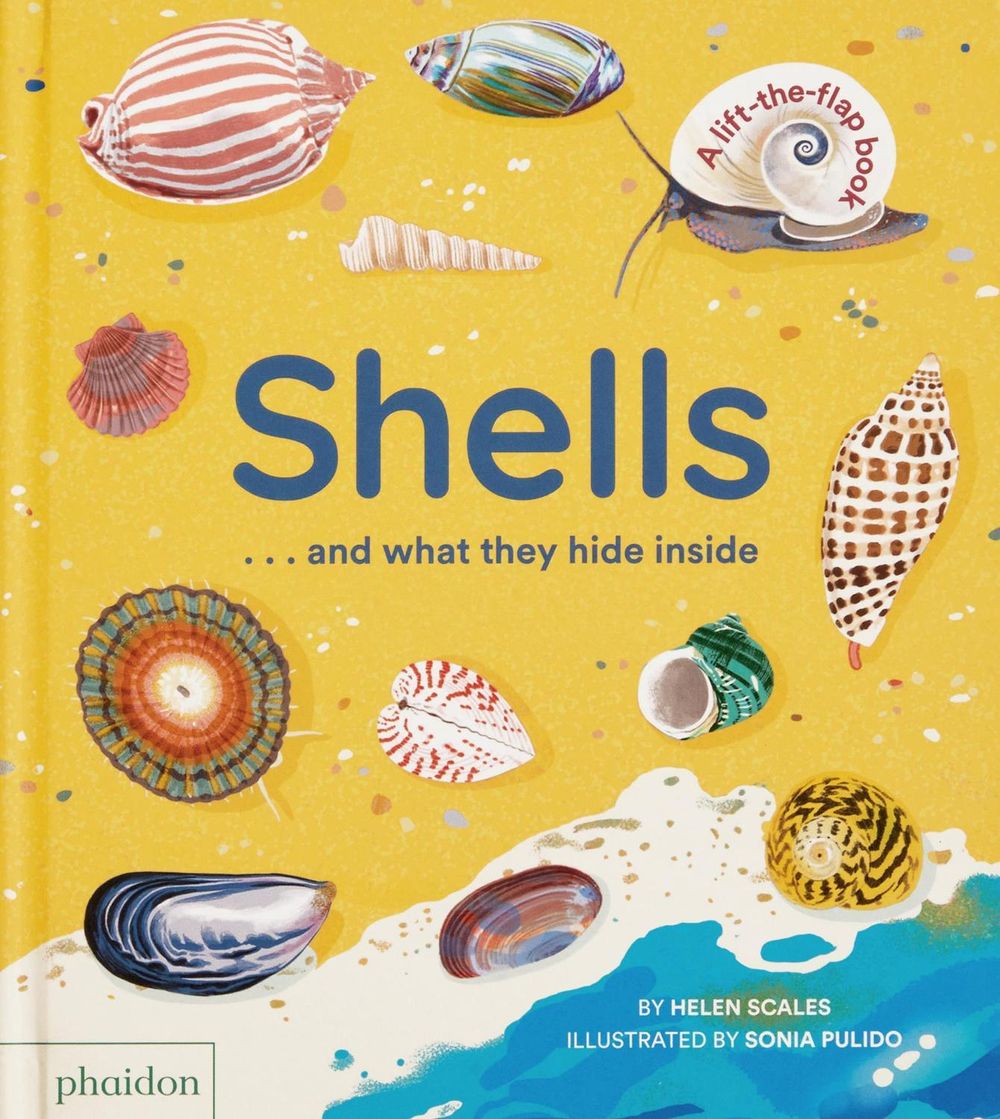 Shells... and what they hide inside by Helen Scales - ISBN: 9781838667887