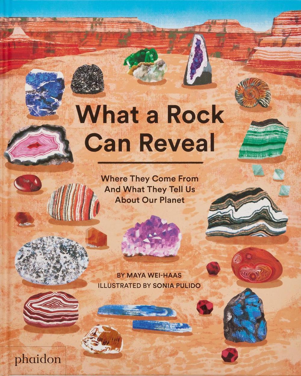 What a Rock Can Reveal by Maya Wei-Haas - ISBN: 9781838667894