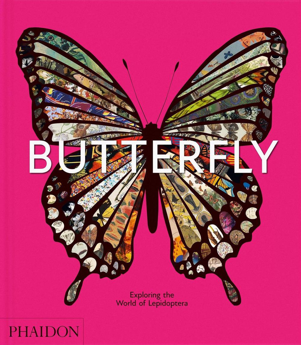 Butterfly, 9781838669379
