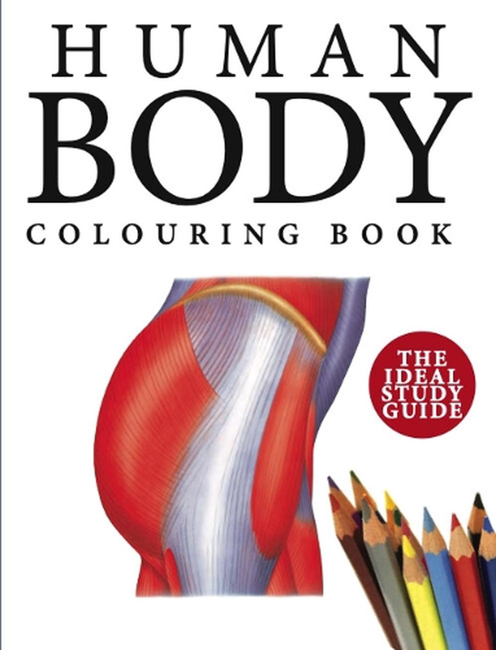 Human Body Colouring Book by Peter Abrahams, Paperback, 9781838863050