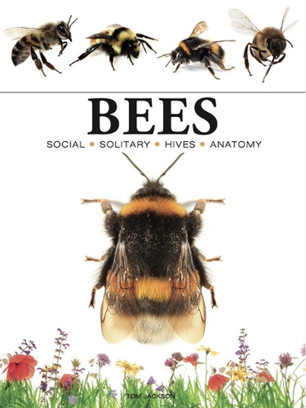 Bees, 9781838863579