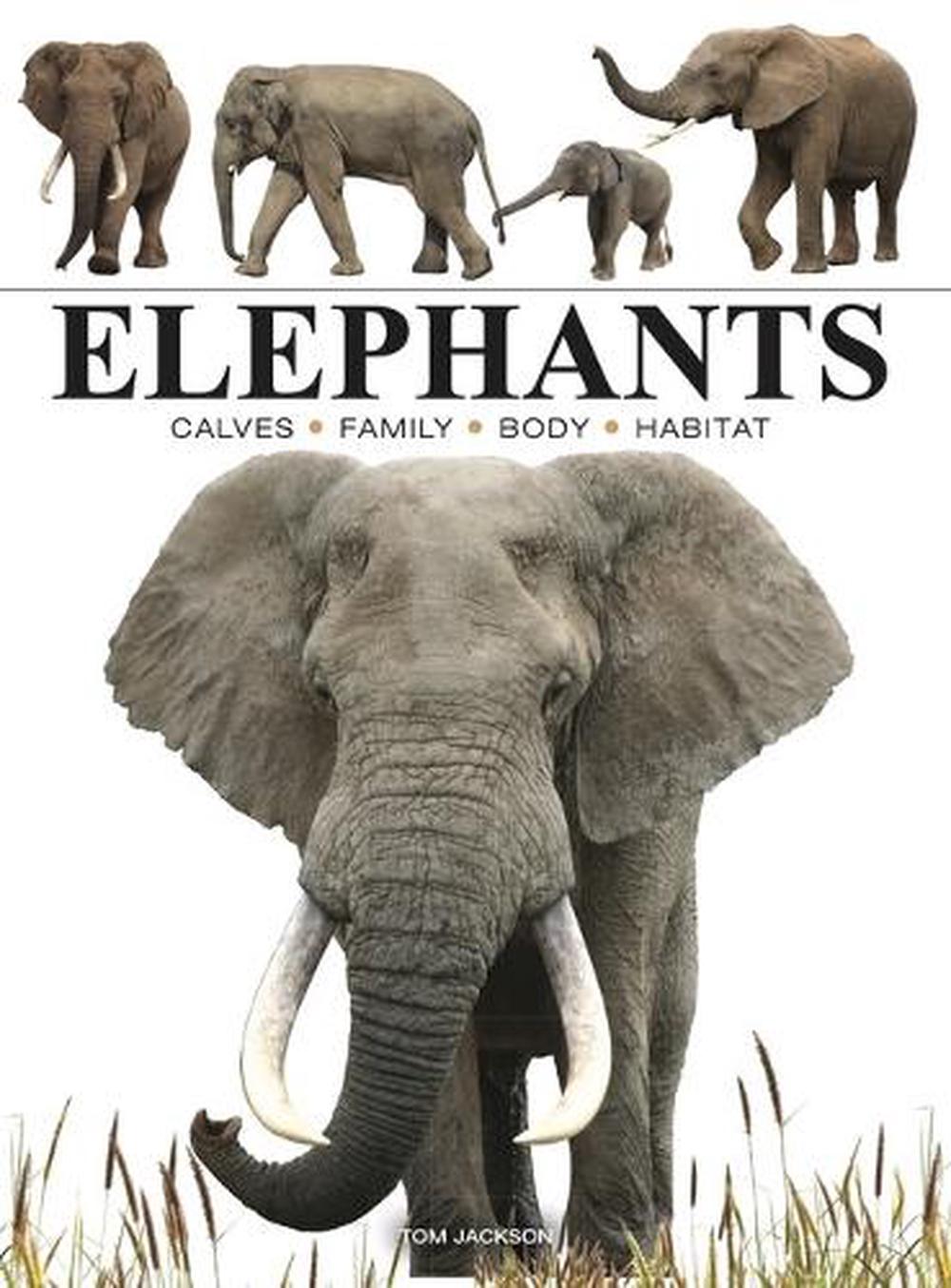 Elephants, 9781838863593