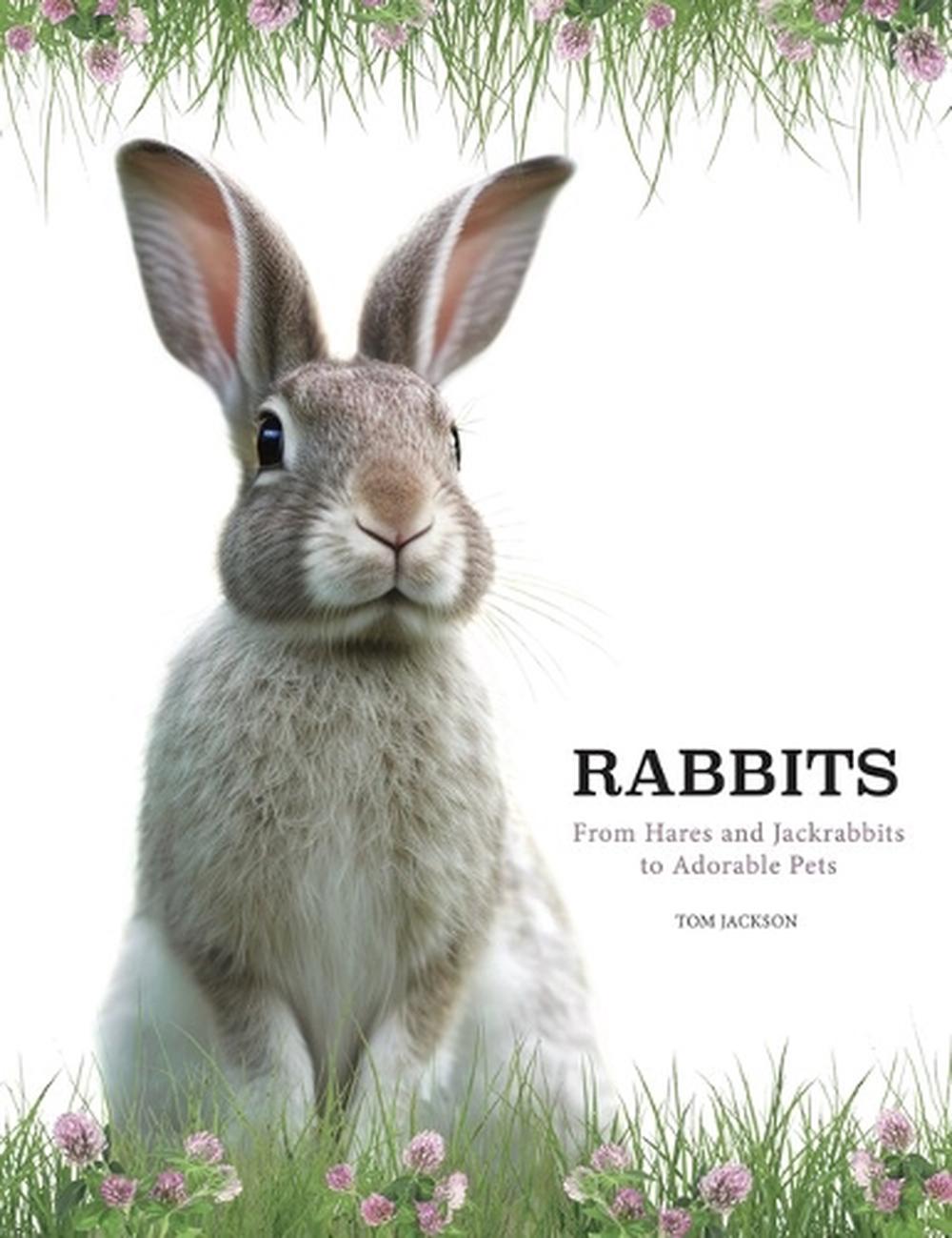 Rabbits, 9781838863708