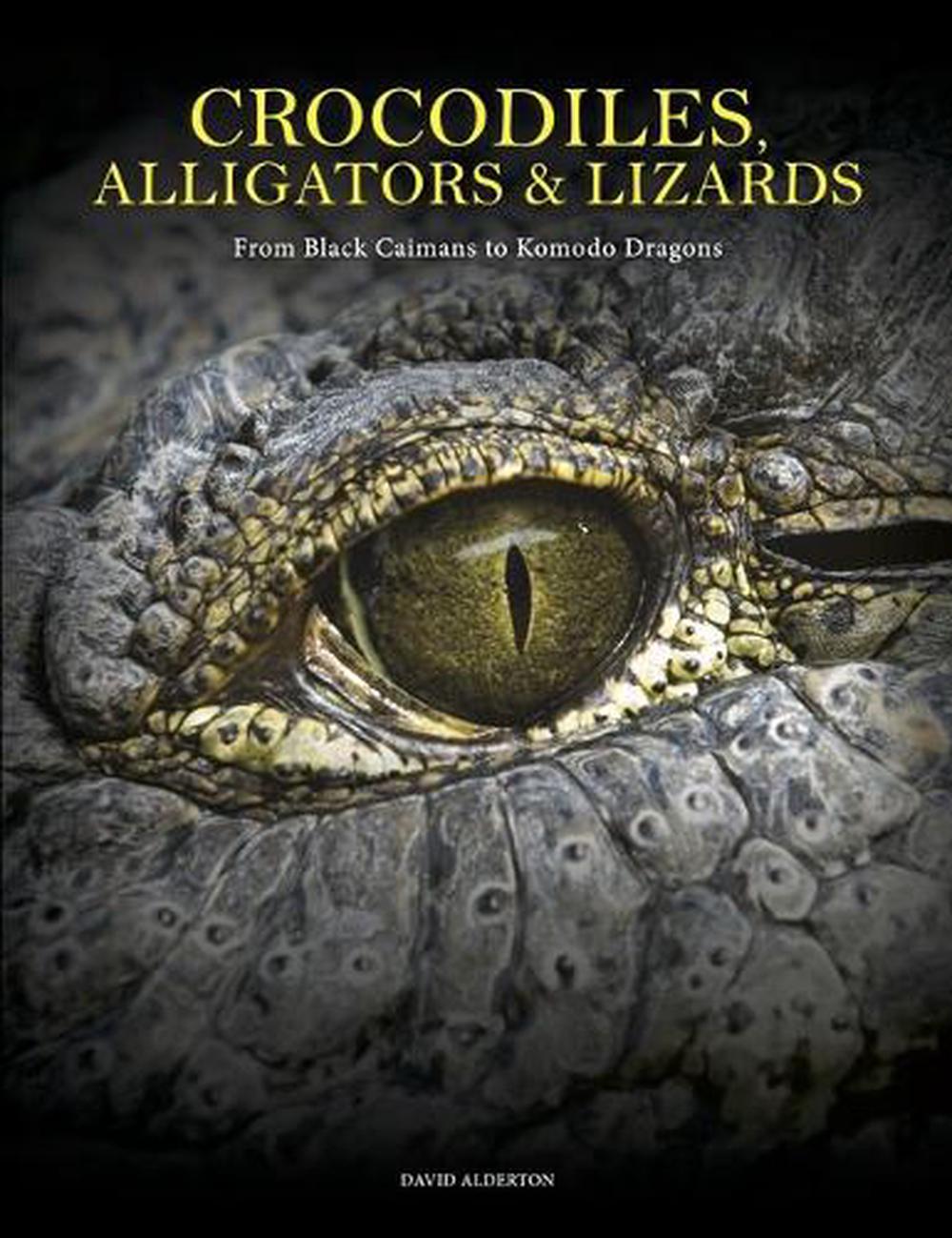 Crocodiles, Alligators & Lizards, 9781838864286