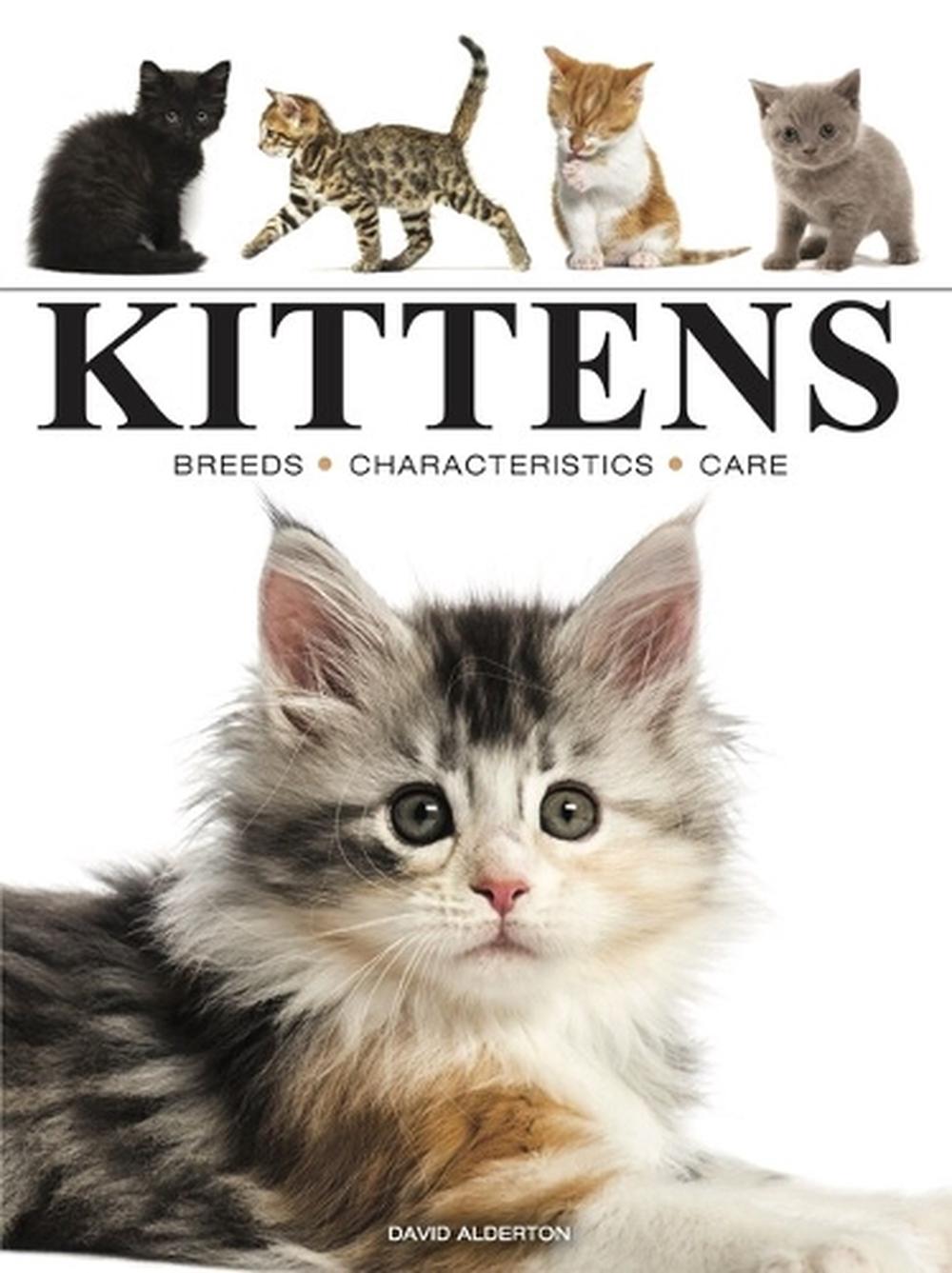 Kittens, 9781838864415