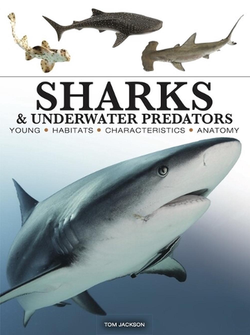 Sharks & Underwater Predators, 9781838864439